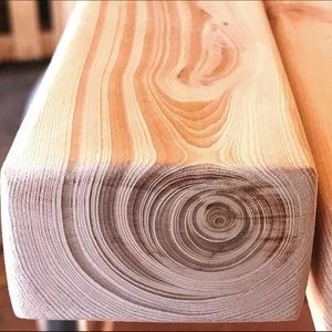 Meet your Posher, Joey